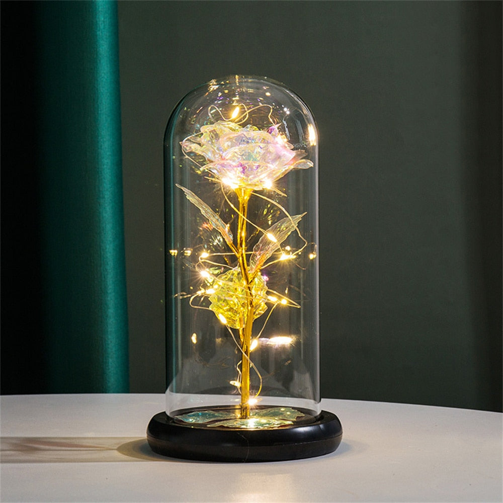 Perpetual Rose Dome Light