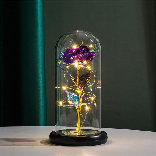 Perpetual Rose Dome Light