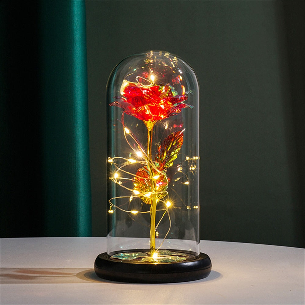 Perpetual Rose Dome Light