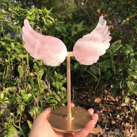 Rose Quartz Angel Wings Dekor