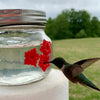 Kolibrimaterkrukke med porterblomst