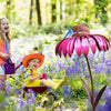 Coneflower Fuglemater