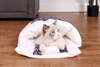 Sovepose For Katt