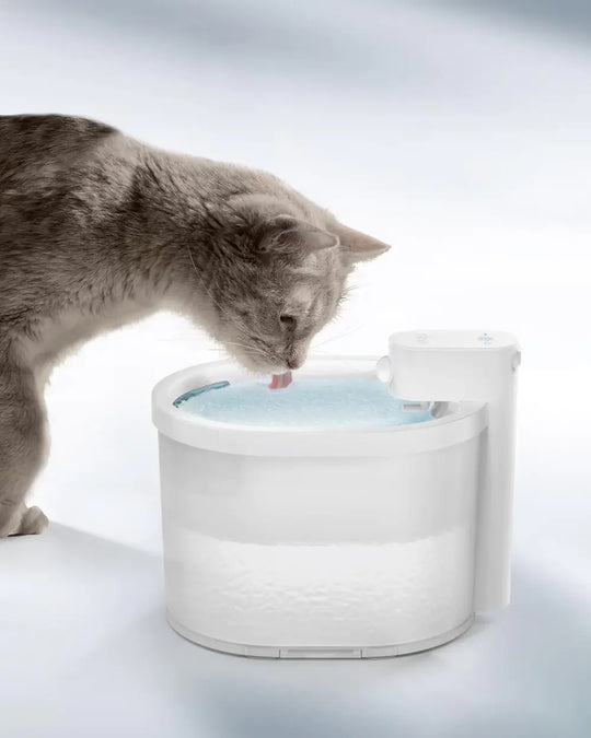 Smart Sensor Cat Vannfontene