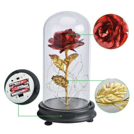 Perpetual Rose Dome Light