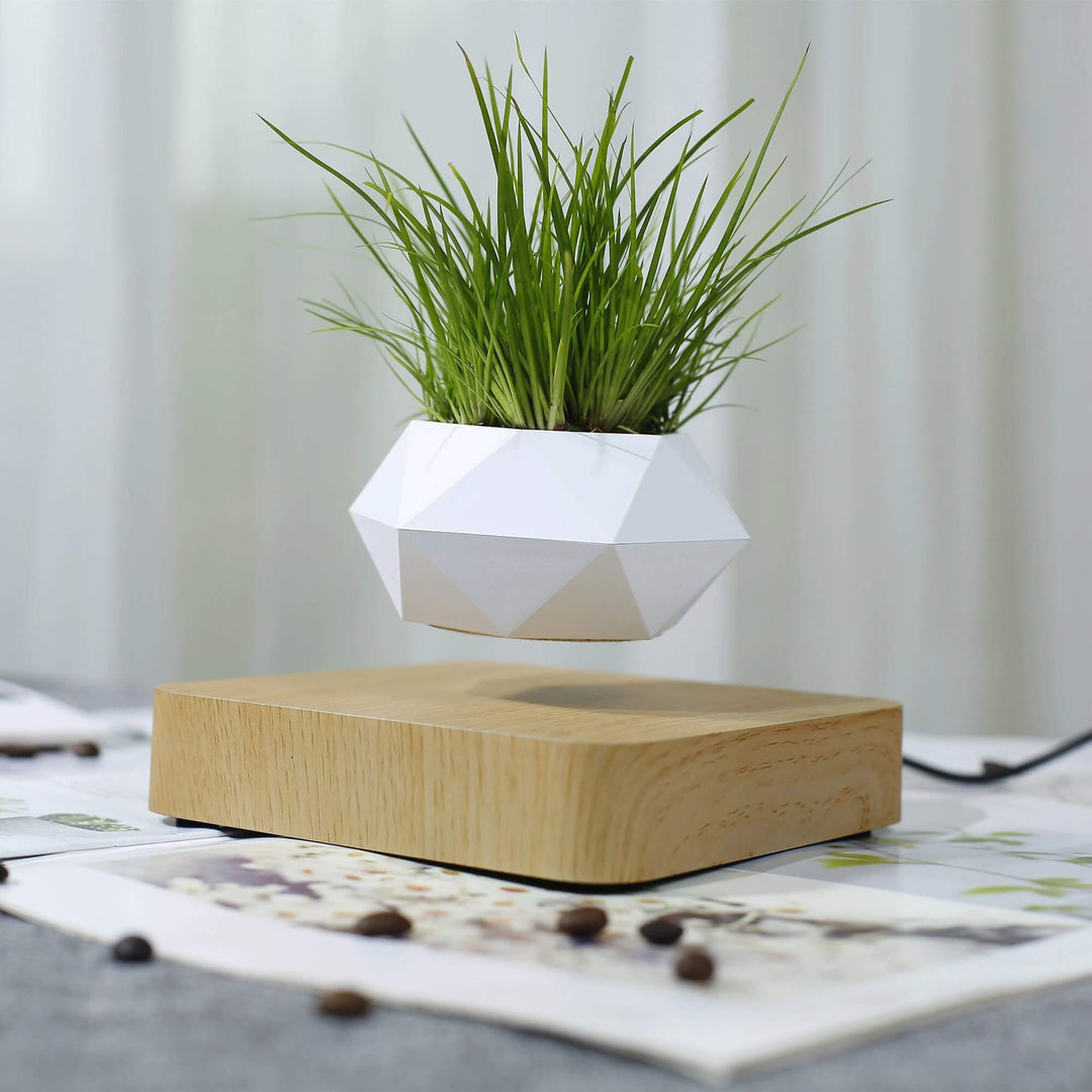 Leviterende Air Bonsai Pot